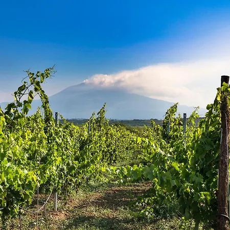 Tenuta Giarretta