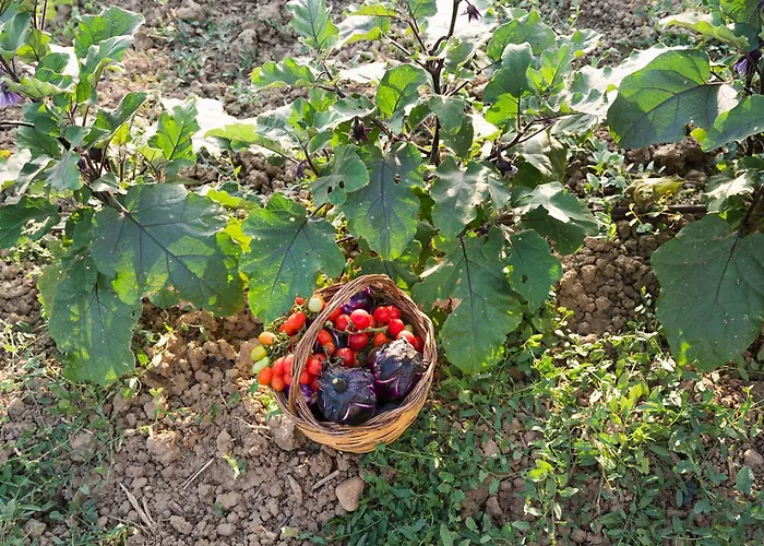 Neroli Bio Relais Hotel 4*