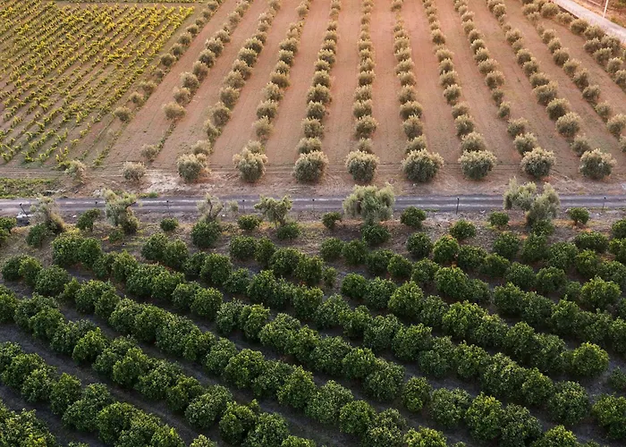 Neroli Bio Relais Hotel 4*